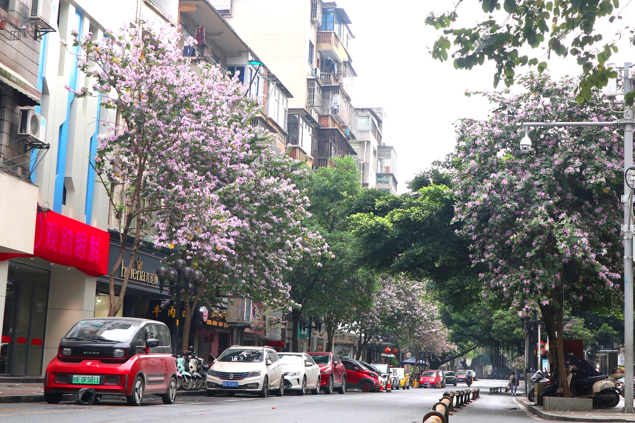 广西柳州旅行攻略,柳州市区一日游旅游攻略