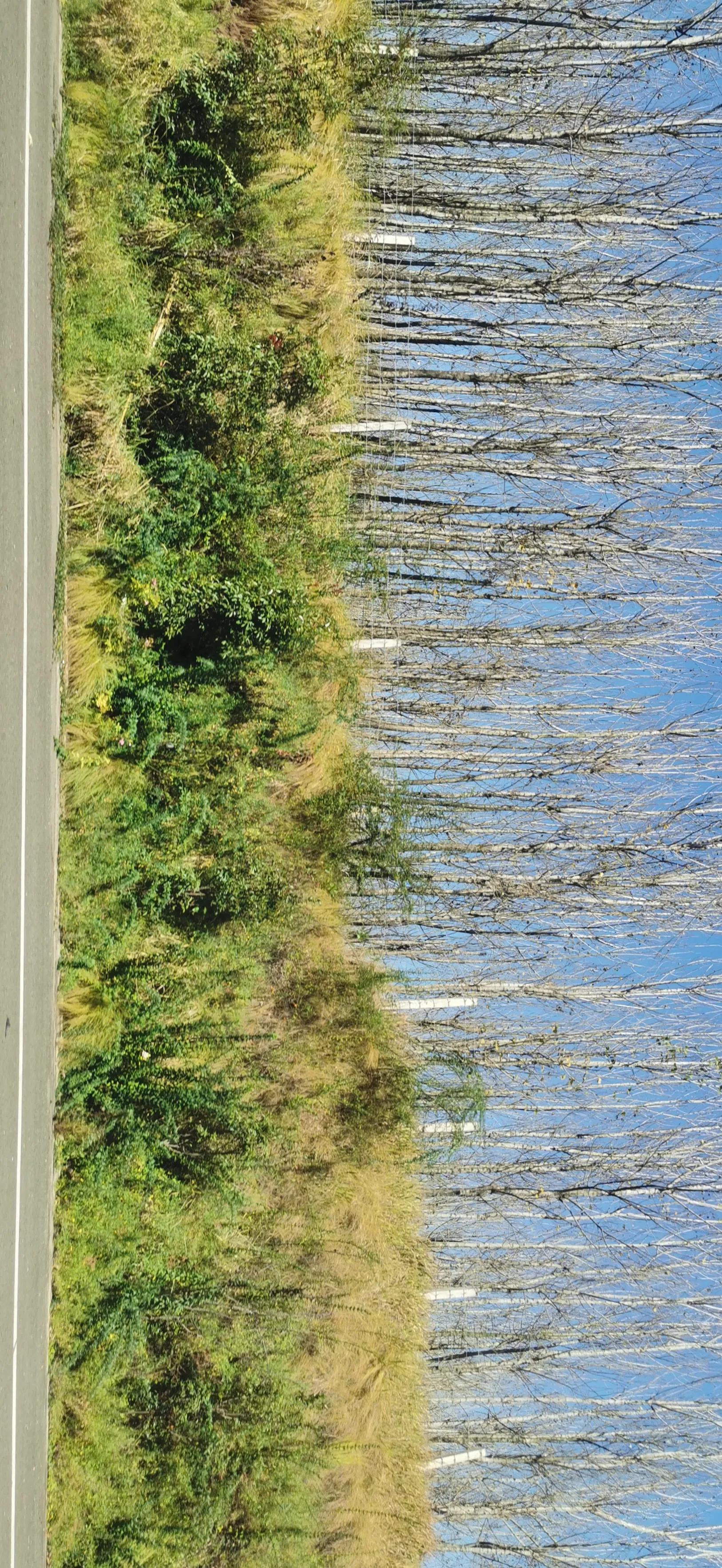 泡温泉泡澡的好处,泡温泉能缓解心慌吗