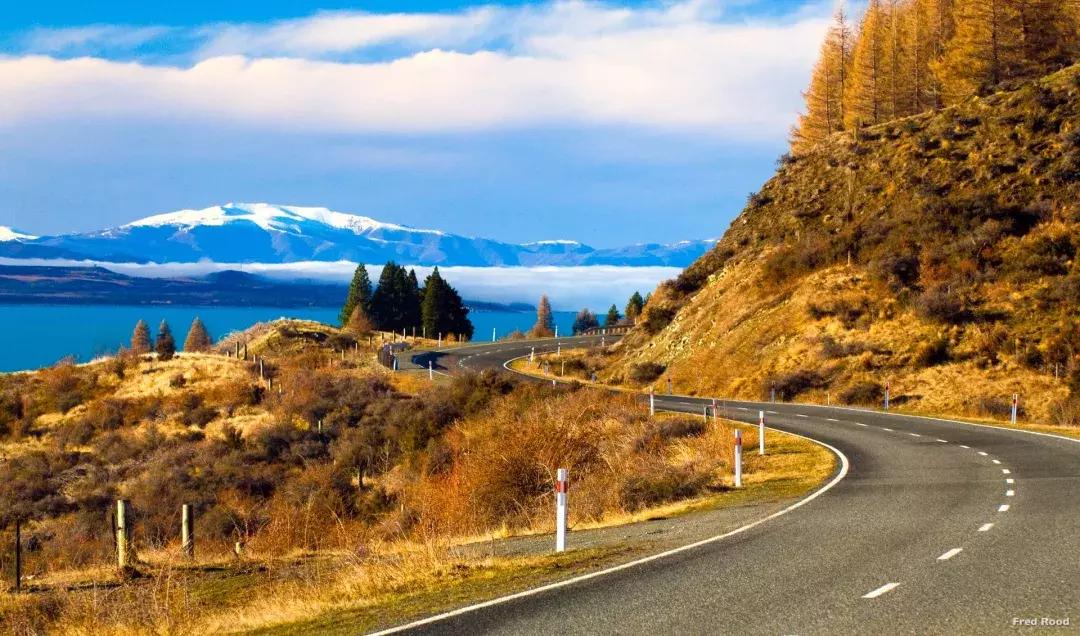 新西兰最危险的道路,新西兰道路救援