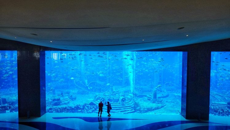 三亚海棠湾生活避坑指南 (三亚攻略海棠湾)