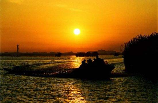 鹧鸪天念奴娇柳永,鹧鸪天念奴娇