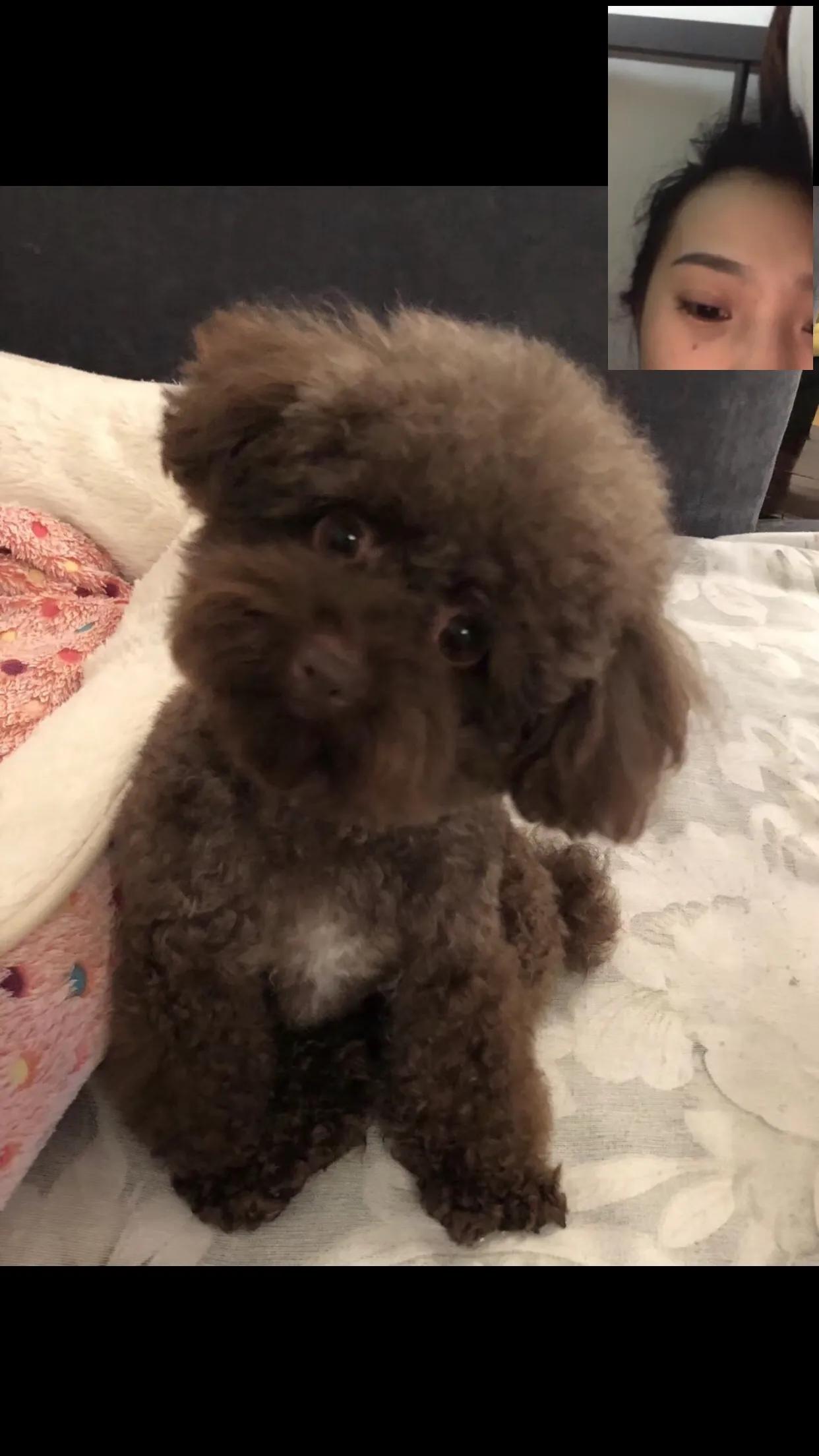 寄生虫的防治知识,寄生虫的防治漫画在线观看