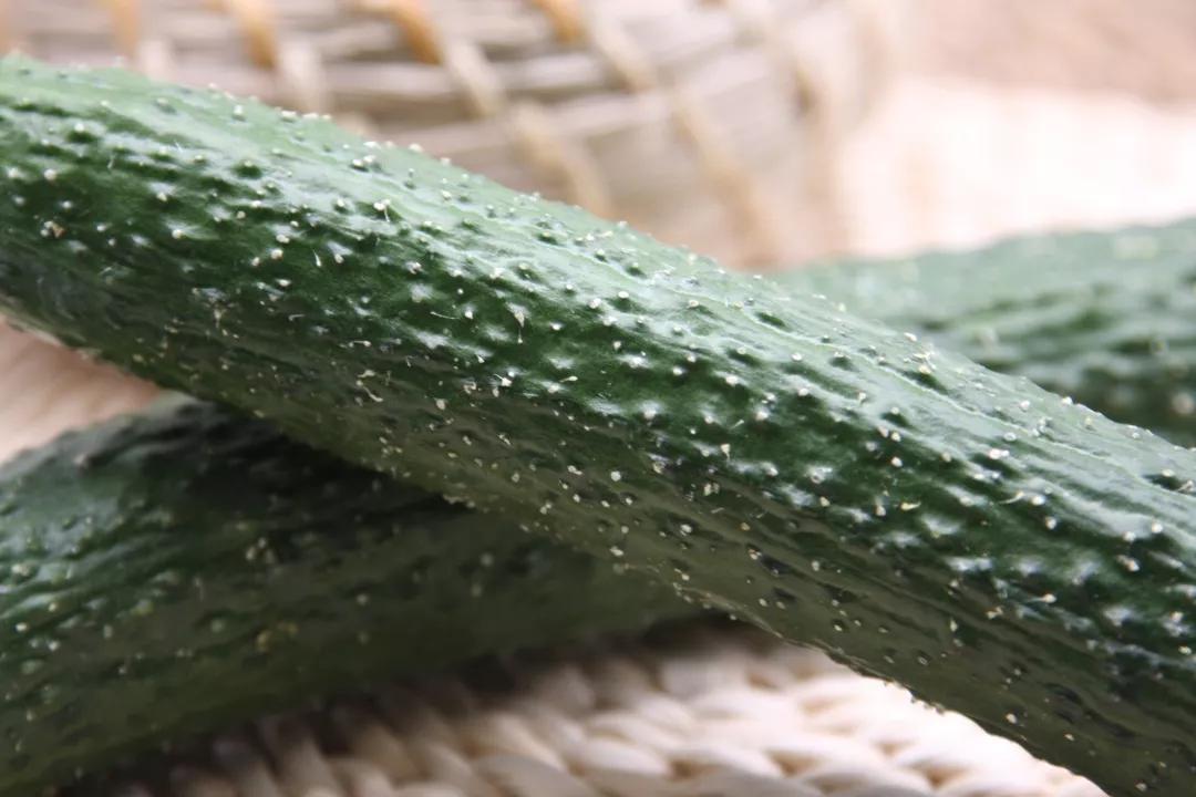 黄瓜的前世今生，告诉你为什么叫黄瓜？