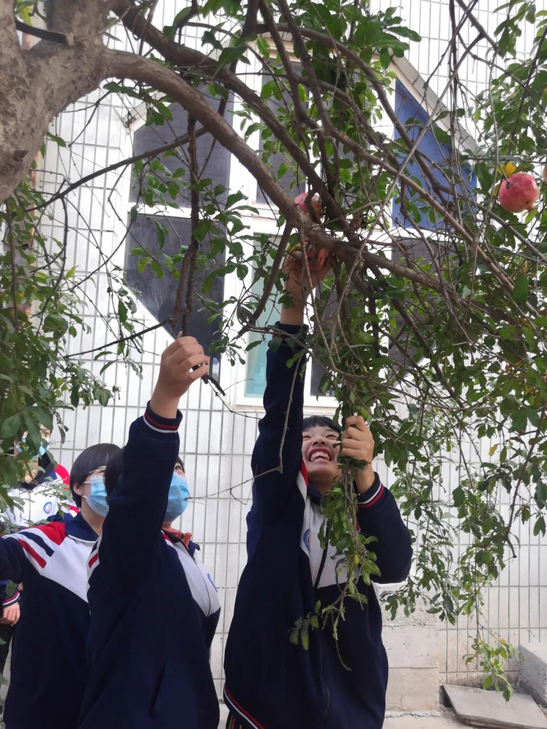 邯郸教育动态,邯郸市教育观察
