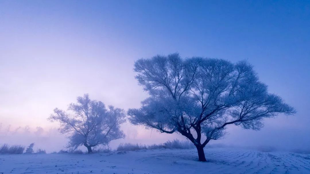 太原冬天去哪儿玩,天津冬天去哪儿玩