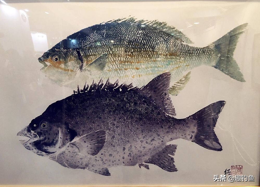 日本品牌钓鱼装备推荐一下,日本钓鱼装备大全