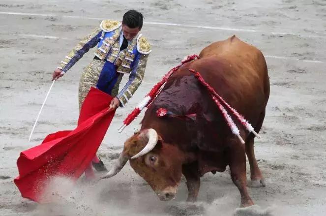 布卡西语丨这项运动，有人奉为“国粹”，有人喷它为“*杀屠**”