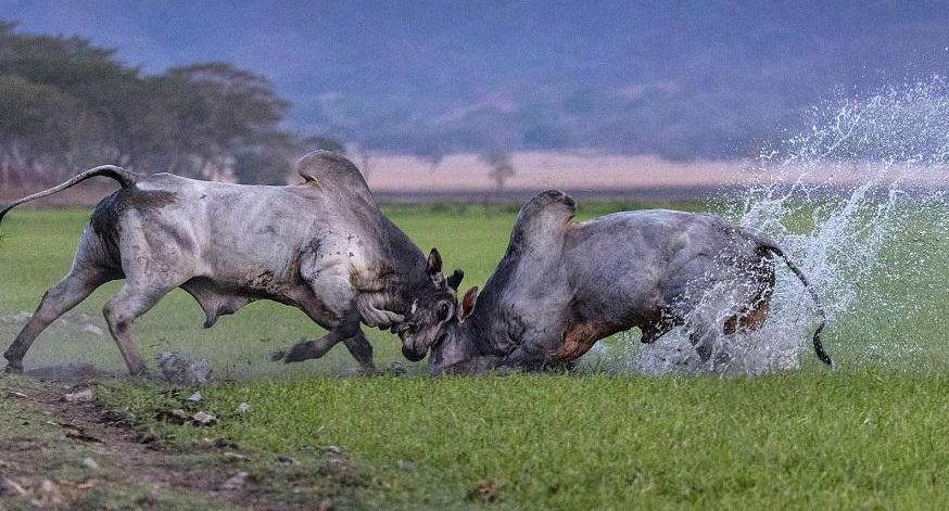 美日之间的博弈,美日大决战完整版视频