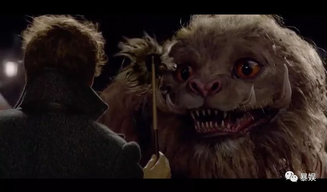 所谓哈迷的狂欢不过是失望之极下的*慰自**｜影评