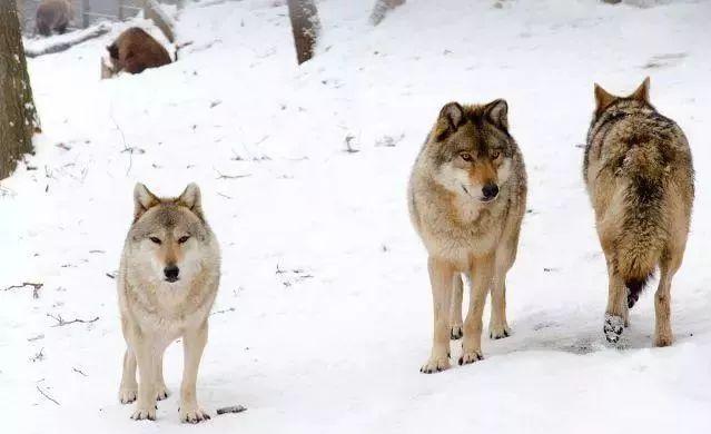 做生意赚钱的商业模式,创业做生意十大底层逻辑