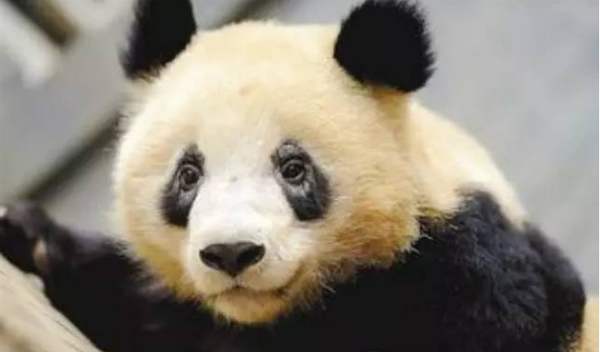 没有熬夜睡起来有黑眼圈,没有熬夜却起得很晚是怎么回事