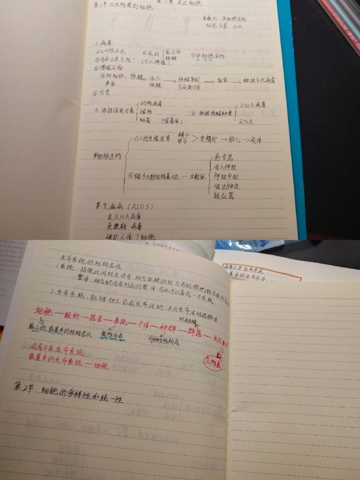 生物学习技巧和方法,面对生物多样性我们该怎么做