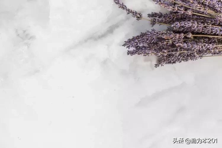 怎样混得好,怎么才能在社会上混好