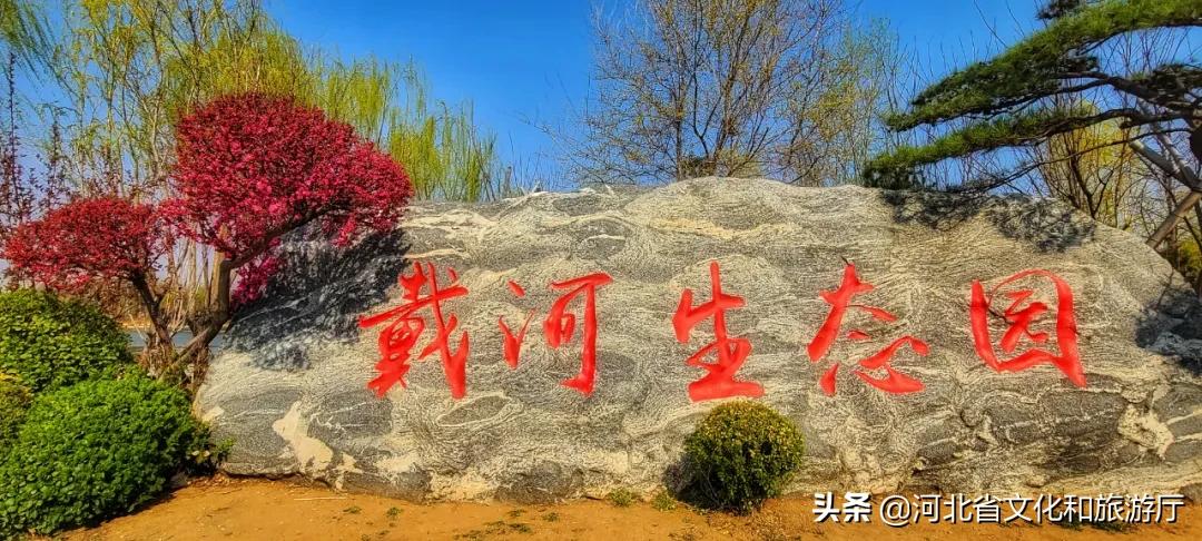 爱家乡游河北发现身边的美|披着初夏的清风，踏着热闹的浪，在五月的秦皇岛玩出新花样~