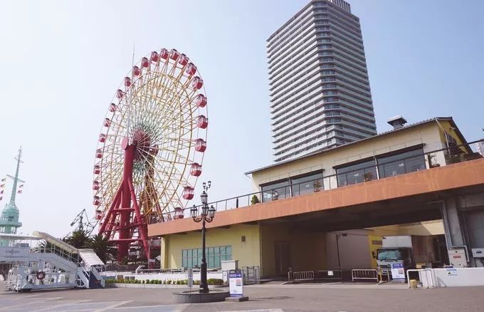 日本的樱花又开了哦,日本樱花又开了是什么梗