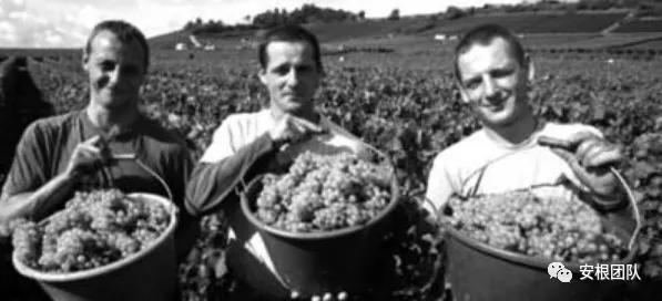 茶人学习:欧洲国家农民合作社融资实践