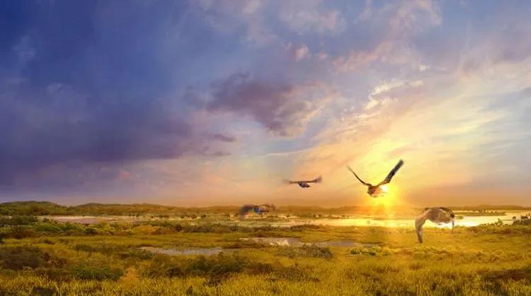 杭州湾跨海大桥海天一洲观景台,海天一洲游玩攻略拍照