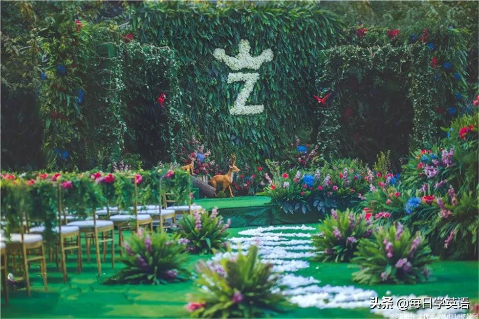 听读英语课文,第一次见到柯林在哪里