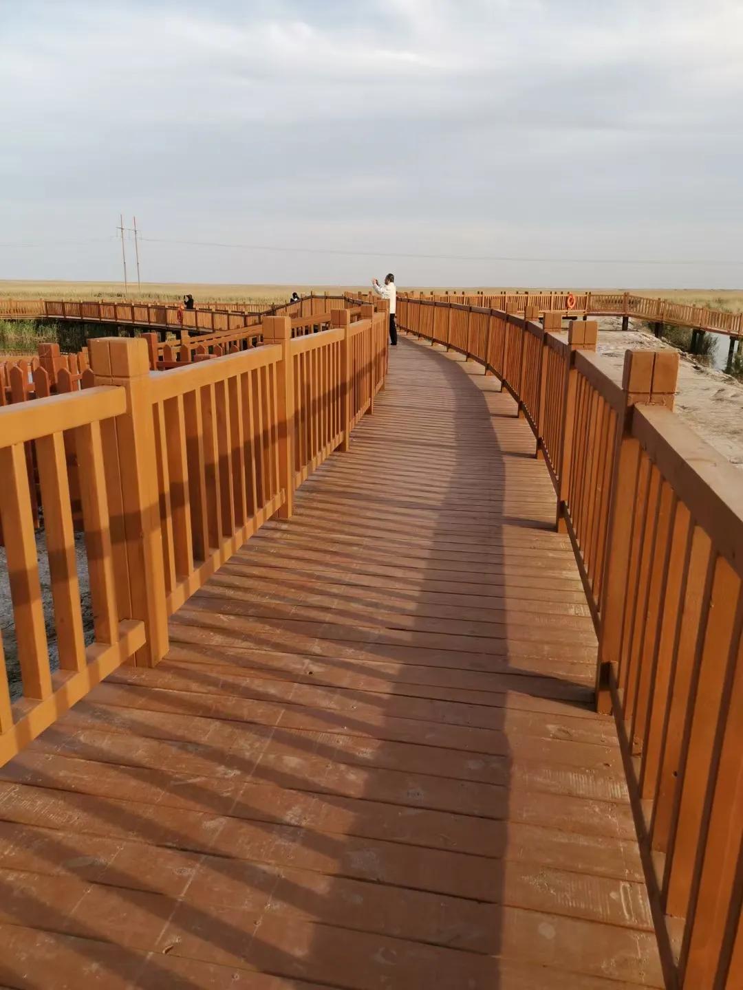 人生如逆旅,人生如逆旅我亦是行人是啥意思