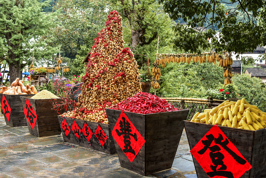 《说文解字》第276课:细说“遮”字