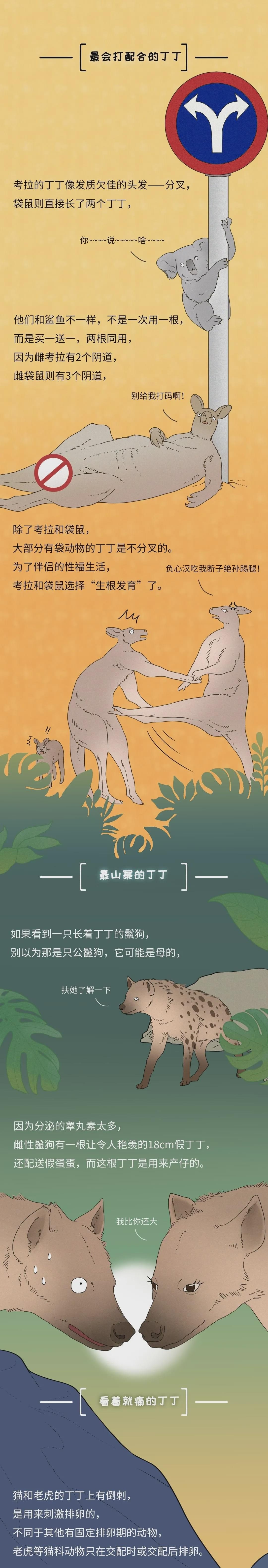 为什么同样是丁丁，差距却这么大？34cm竟然排垫底