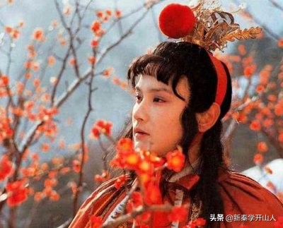 黛玉和宝玉祭文,宝玉为黛玉写祭文了吗