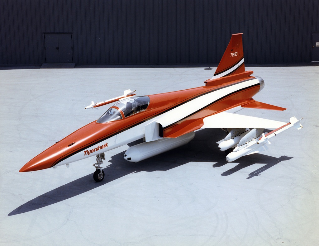 极富悲剧色彩的虎鲸,虎鲨悲剧