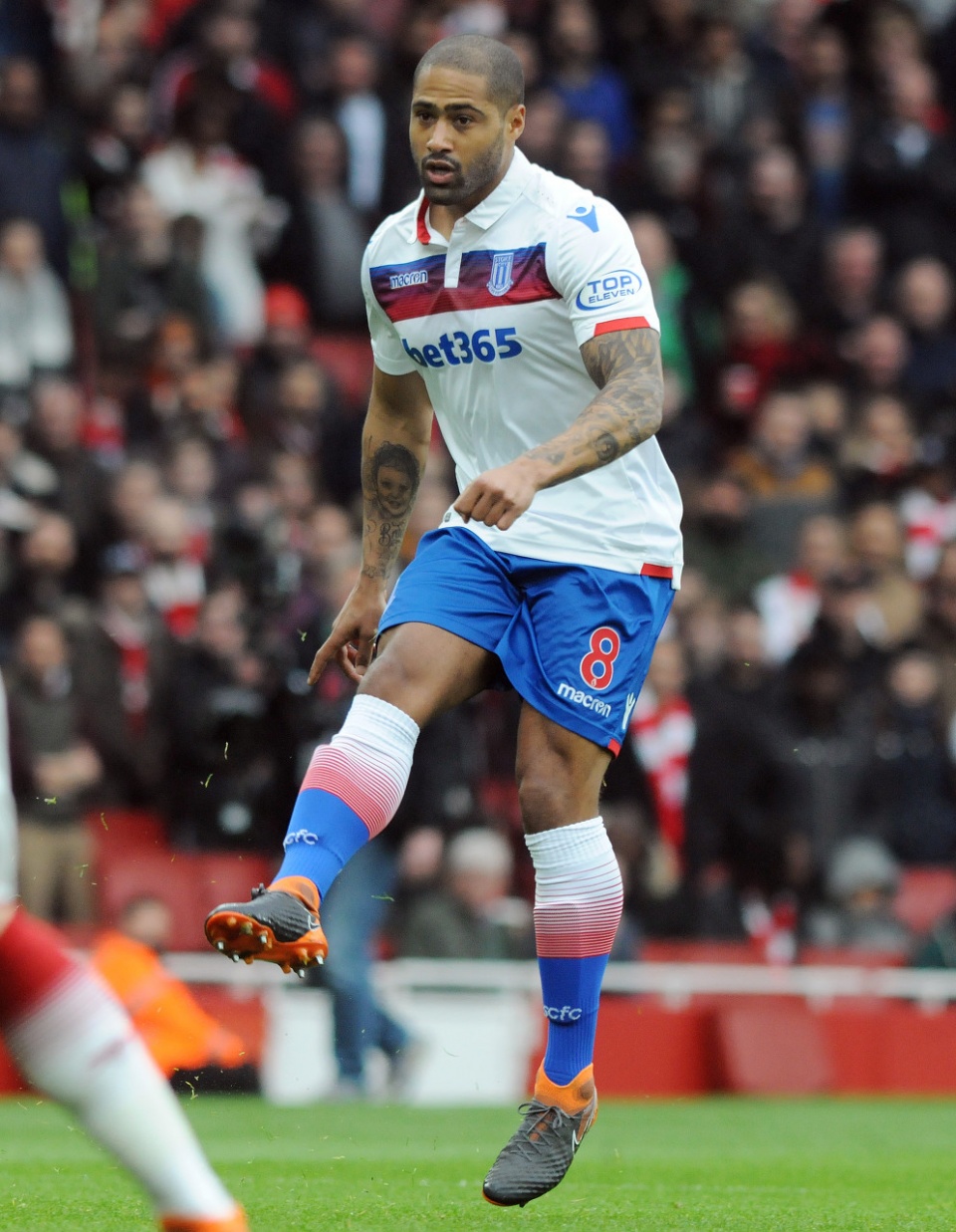 格伦约翰逊拳击,格伦约翰逊集锦