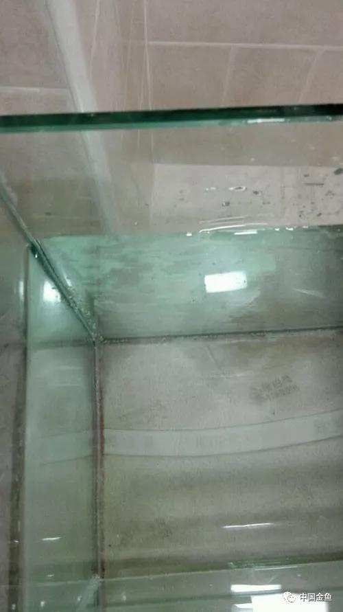 我向媳妇保证，最后一个缸