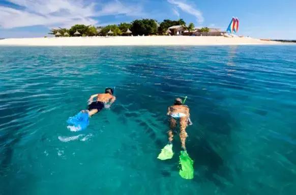 斐济自由行,斐济自由行交通方便吗