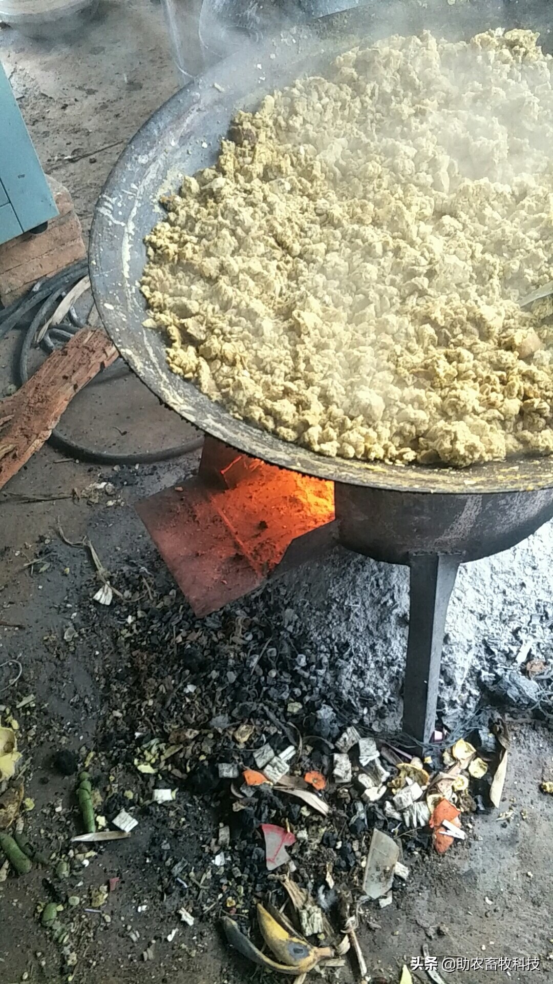 坏鸡蛋扔掉,快过期的鸡蛋怎么大批量处理