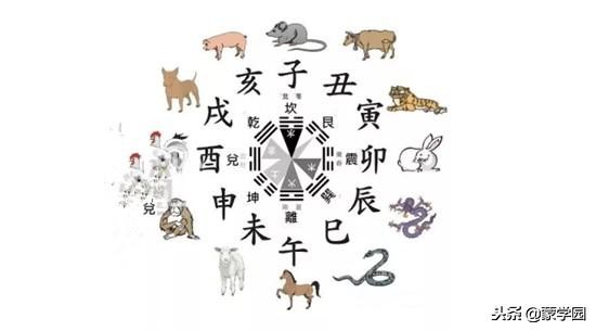 十二生肖相合相生相配准确吗,生肖相合和不合的属相有多准