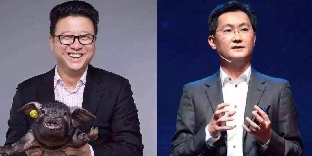 网易丁磊养猪视频现在怎么样了,网易丁磊最新布局