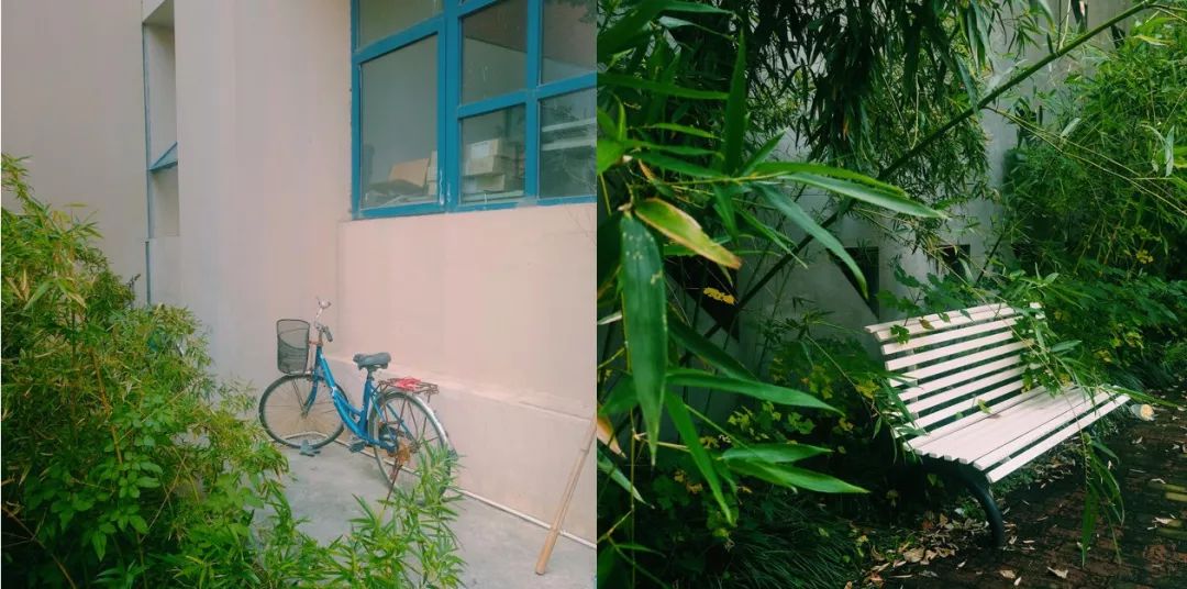 中国传媒大学南广学院专转本专业,南京传媒学院南广学院专转本