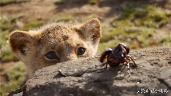 新版狮子王还会再次延续吗,狮子王高光时刻