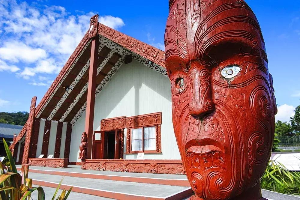 来这里认识世界全文,来这里认识世界完整版