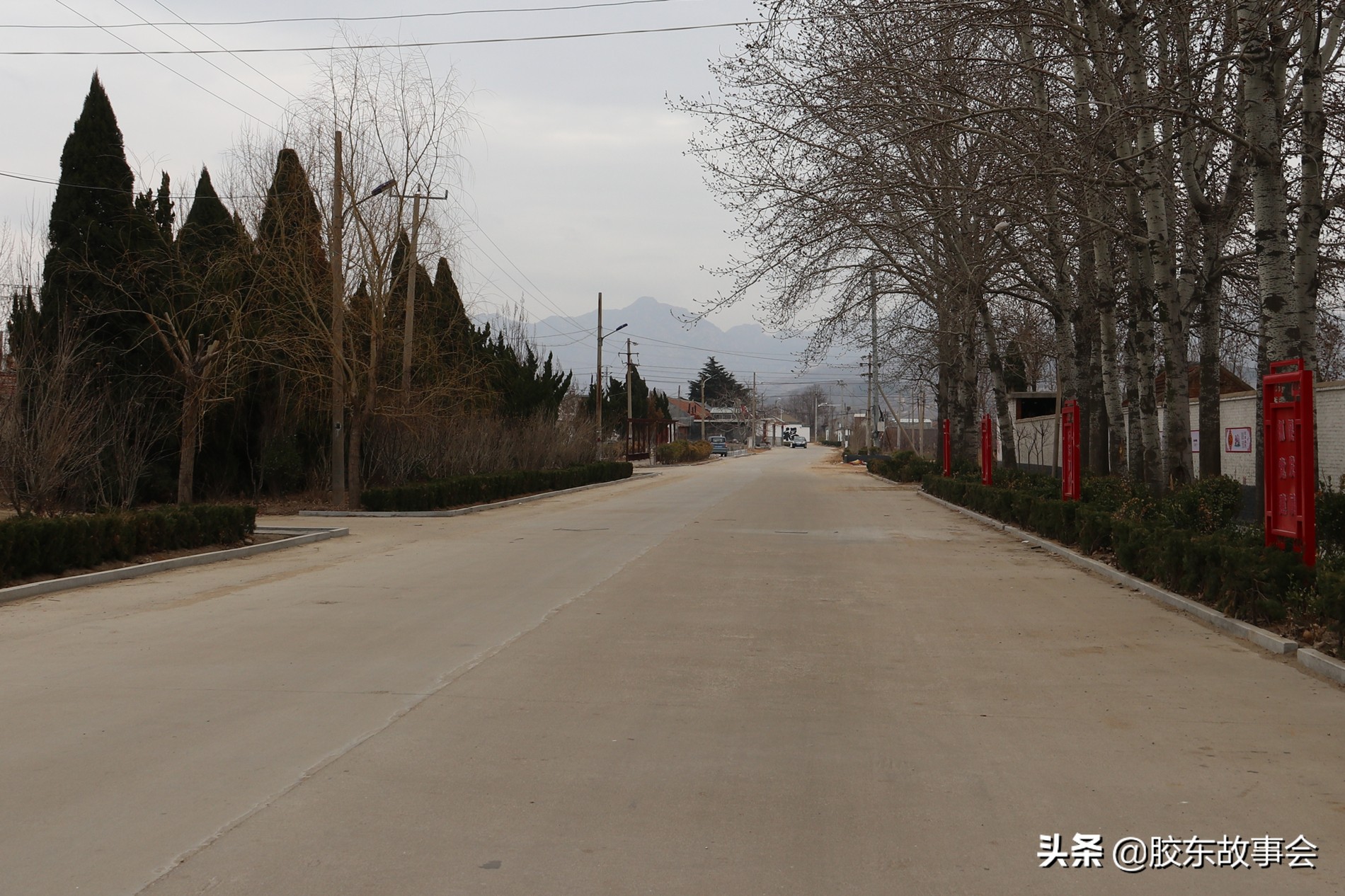 山东烟台招远张姓族谱,山东省招远哪个地方姓方的多