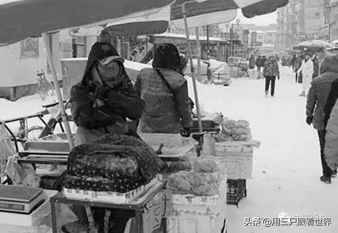 记忆中的哈尔滨全景,记忆中的哈尔滨是哪里