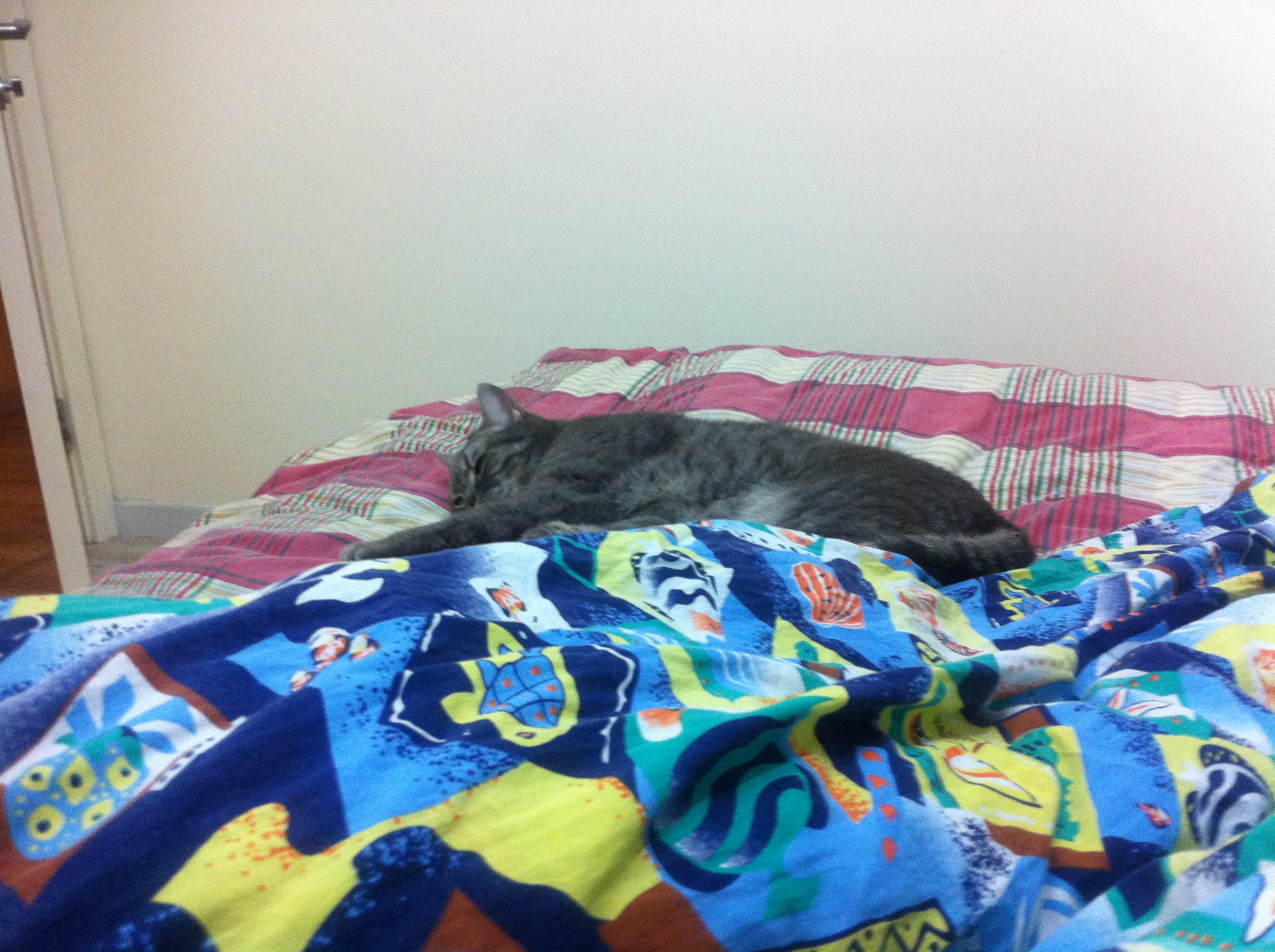 当你遇到了黑中介，不要慌，我来教你怎么做