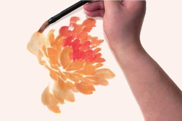 国画牡丹和石头的画法图片,初学国画牡丹花头画法图解