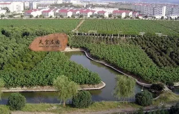 宁波周末带娃玩的好去处,宁波旅游度假山庄