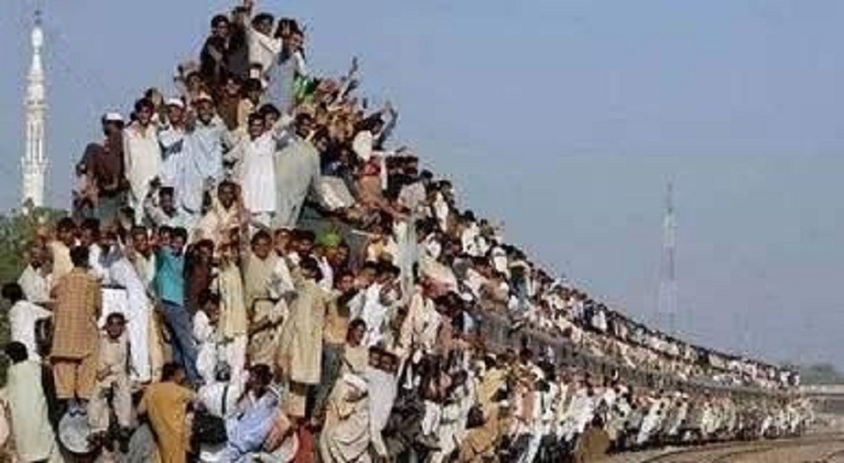 印度的黄种人都是哪来的？