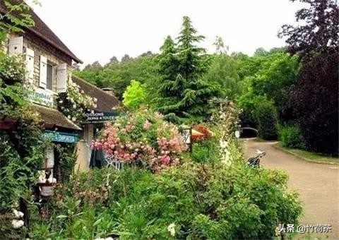 拥一颗素心守一方静谧什么意思,用一颗素心守一方静谧