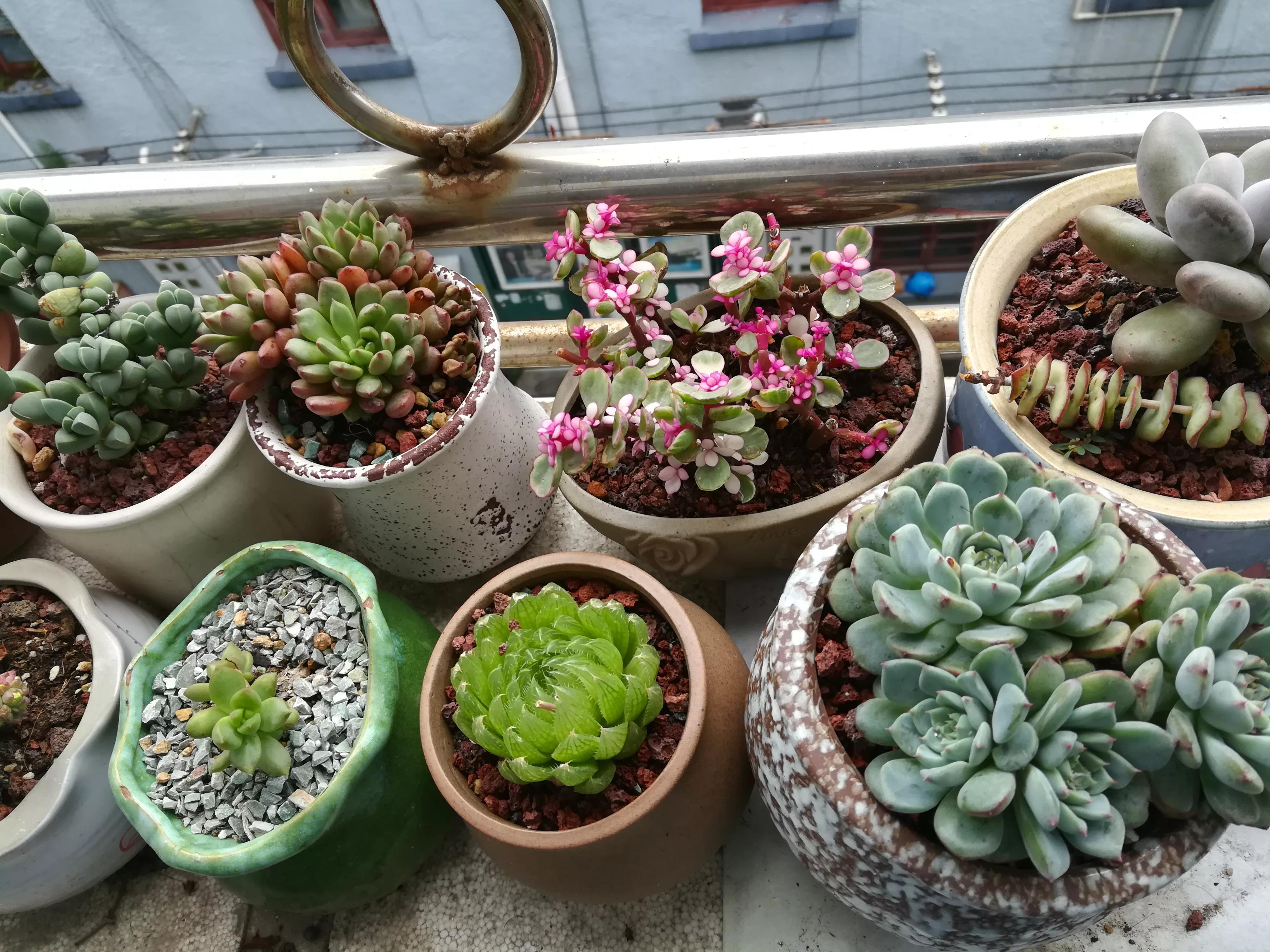 热水瓶塞子塞不紧怎么办,热水瓶塞子掉进去拿不出怎么办