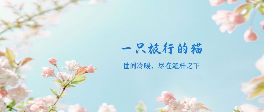 张爱玲对郁金香的看法,郁金香张爱玲解读