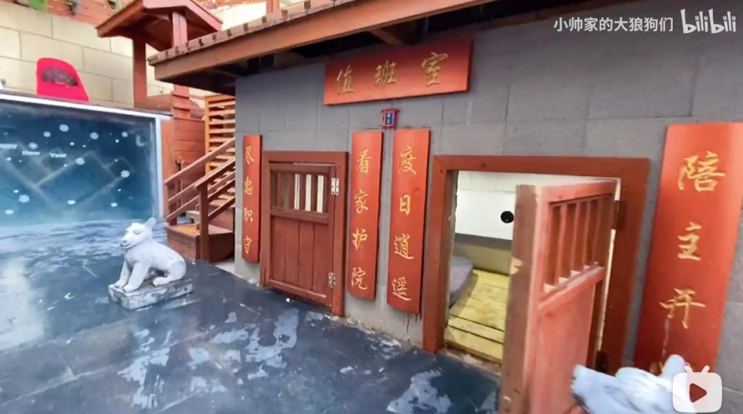 花三年建宠物乐园,花20万给狗打造乐园