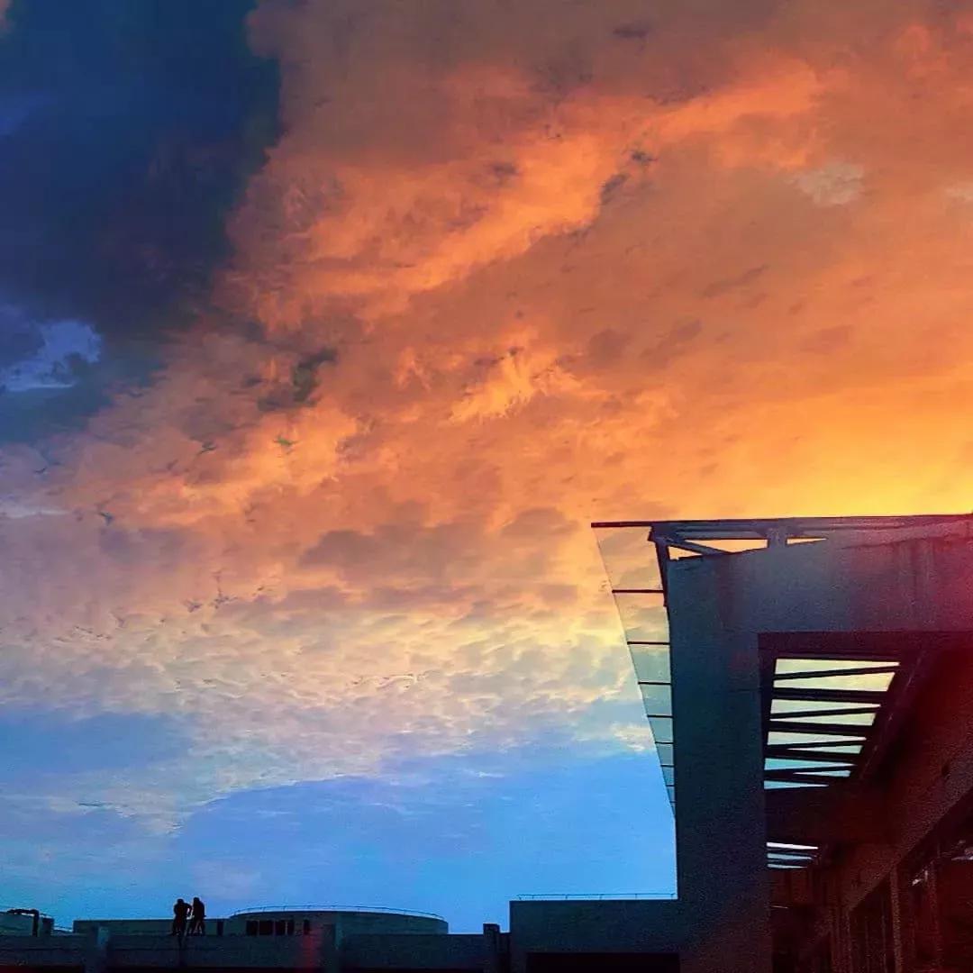 鑻忓窞澶у鏂囨瀛﹂櫌浠嬬粛,鑻忓窞澶у鏂囨瀛﹂櫌鍥剧墖