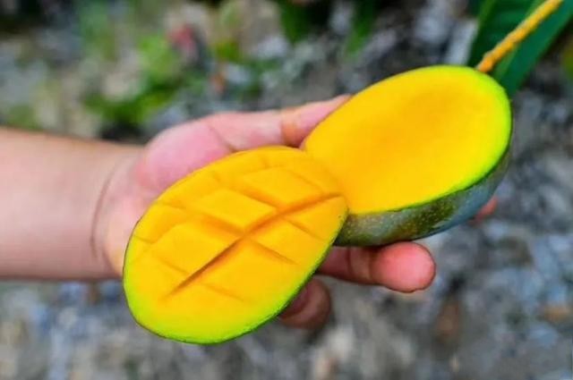 五月份不可错过的四种时令水果,最适合夏季食用的应季水果有哪些