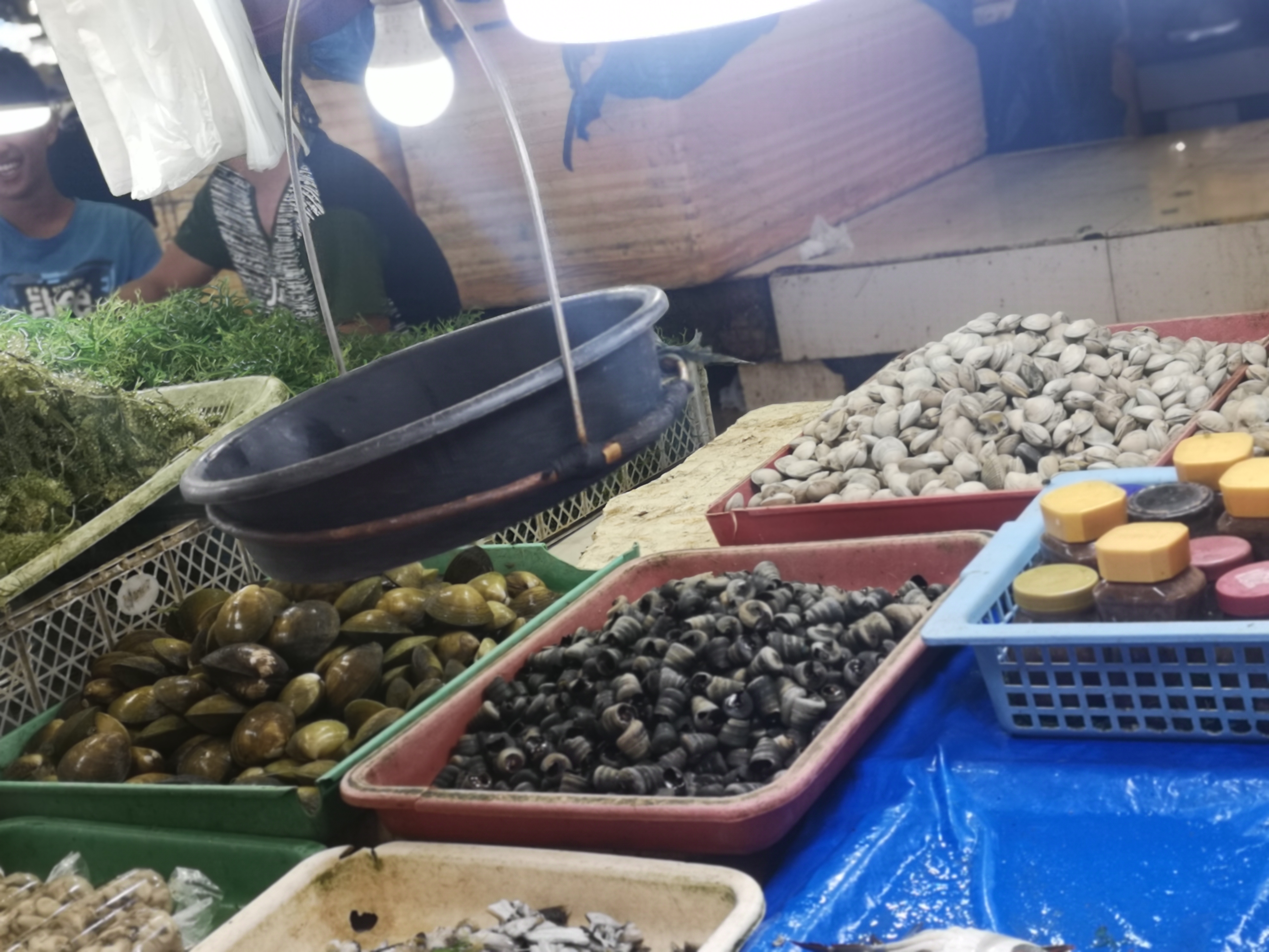 带你看菲律宾的海鲜市场,菲律宾海鲜市场最新行情