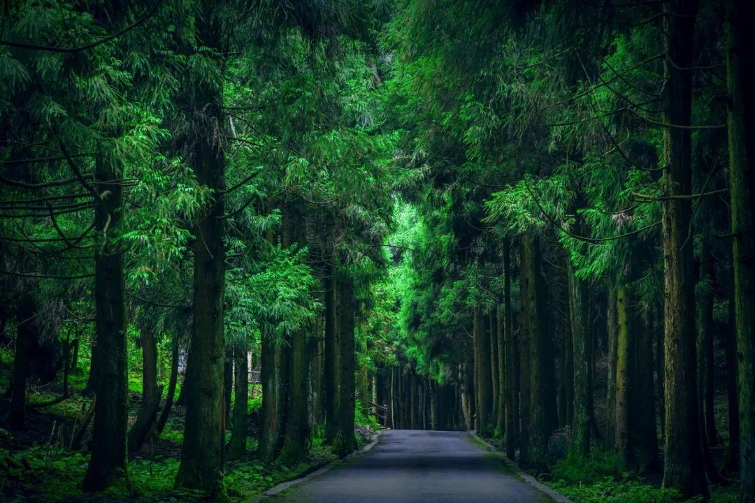 重庆人去哪里避暑最合适,重庆人适合出去避暑地方推荐